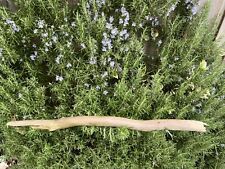 73cm long driftwood for sale  BRAINTREE