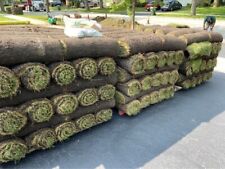 Real grass rolls for sale  MAIDSTONE