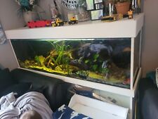 6ft aquarium fish for sale  ASHFORD
