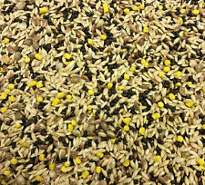 Mixed canary seed for sale  TONBRIDGE