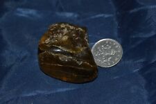Polished baltic amber for sale  BACUP