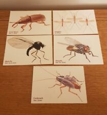 Vintage insect prints for sale  KING'S LYNN
