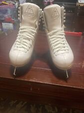 Jackson 500 ice for sale  Silver Spring