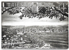 Cartolina trieste citta usato  Trieste