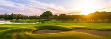 Saddlebrook resort golf for sale  Mechanicsburg