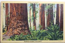 california redwood for sale  Wilmington