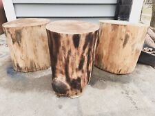 Wooden stump plant for sale  Osceola