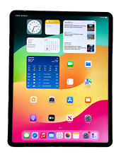 Apple iPad Pro 5th Gen 256GB, Wi-Fi + 5G (Unlocked), 12.9 in - Space Gray for sale  Shipping to South Africa