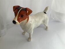 white jack russell for sale  MANCHESTER