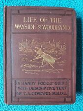 Wayside woodland life for sale  STROUD