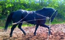 New horse training for sale  SLOUGH