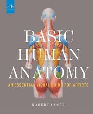 Anatomia humana básica: um guia visual essencial para artistas por Osti, Roberto comprar usado  Enviando para Brazil