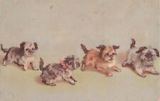 Terrier pups puppies for sale  Diamond Bar