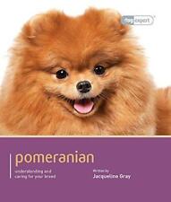 Pomeranian for sale  ROSSENDALE