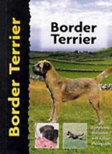 Border terrier penelope for sale  UK