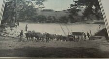 Used, 1902 Print A FERRY ACROSS THE TUGELA RIVER Anglo-Boer War South Africa for sale  Shipping to South Africa