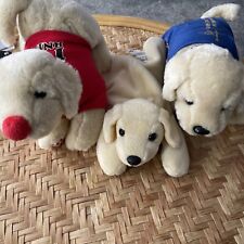 Andrex puppies red for sale  HARTLEPOOL