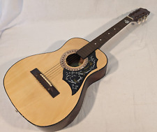 Vintage acoustic hummingbird for sale  Auburn