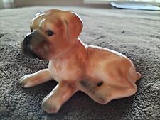 boxer puppies for sale  LETCHWORTH GARDEN CITY