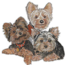 Yorkshire terrier yorkie for sale  Honesdale