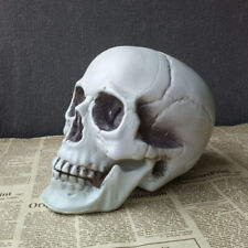 Halloween artificial skull for sale  Shipping to Ireland