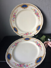 Antique dinner plate for sale  LONDON