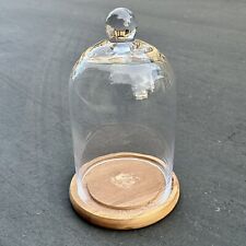 Glass cloche dome for sale  Brea