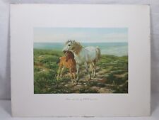 Print horse foal for sale  BEDALE