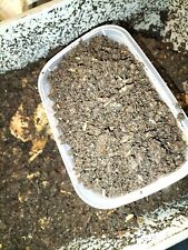 Composting worms colony for sale  SPALDING