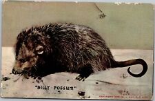 Postcard billy possum for sale  Buffalo Grove