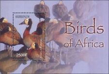 Burundi 2004 birds usato  Italia