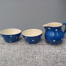 Sandygate pottery blue for sale  SWINDON