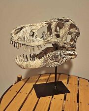 Rex replica skull for sale  Pittsburgh