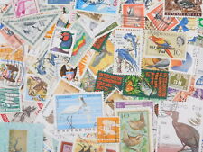 STAMP Topical 《BIRDS》 100pcs lot OFF paper philatelic collection thematic gebraucht kaufen  Versand nach Switzerland