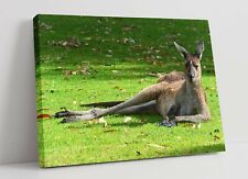 Kangaroo large canvas for sale  LONDONDERRY