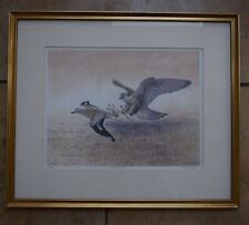 limited edition signed prints wildlife for sale  ABERGAVENNY