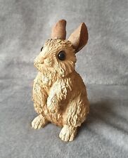 Cute bunny rabbit for sale  RUSHDEN
