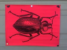 Póster vintage de insectos escarabajos de neón rosa/naranja de 19""x24,5"" de la década de 1960 #96 segunda mano  Embacar hacia Argentina