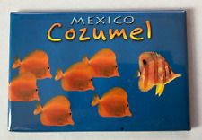 Cozumel mexico tropical for sale  UK