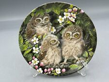 Wedgwood baby owls for sale  HINDHEAD