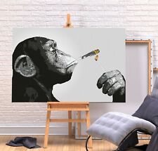 Banksy monkey chimp for sale  LONDONDERRY