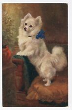 POMERANIAN RAPHAEL TUCK PET OILETTE DOG ART POSTCARD ARTIST NORA DRUMMOND for sale  Shipping to South Africa