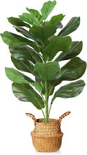 Artificial fiddle leaf for sale  Russellville