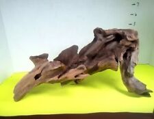 Driftwood taxidermy aquarium for sale  Brookwood