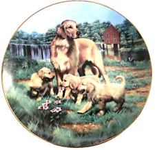 Hamilton golden retrievers for sale  Mesa