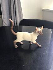 Siamese cat fantastic for sale  CUMNOCK