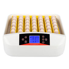 Automatic hatching incubator for sale  Flanders
