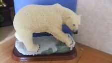 large polar bear for sale  ABERYSTWYTH