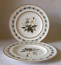Two royal worcester for sale  WORCESTER