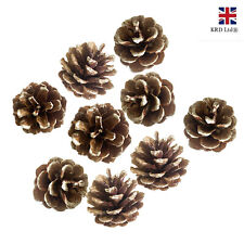 9pk pine cones for sale  Shipping to Ireland